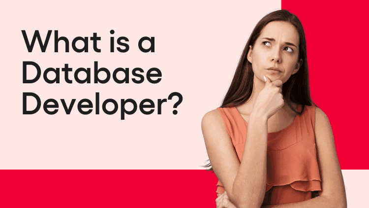 Database Developer