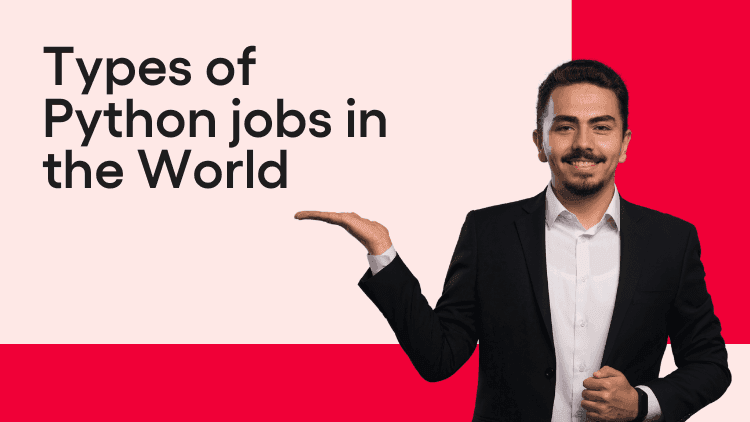 Types of Python jobs in the World-min.png