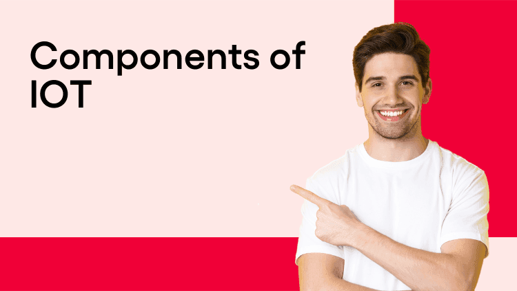 Components of IOT-min (1).png
