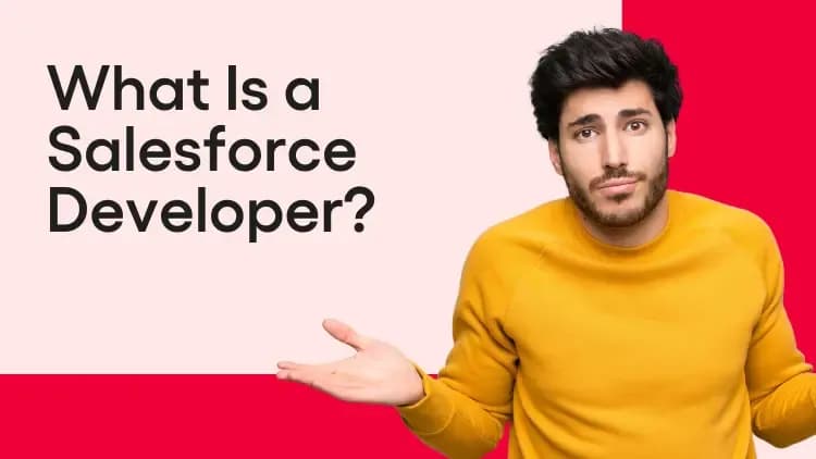 what is salesforce developer
